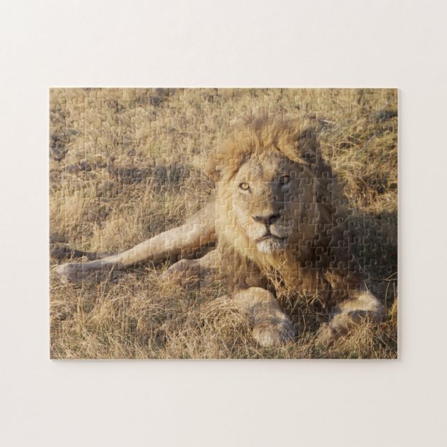 Rompecabezas de leones (Horizontal)