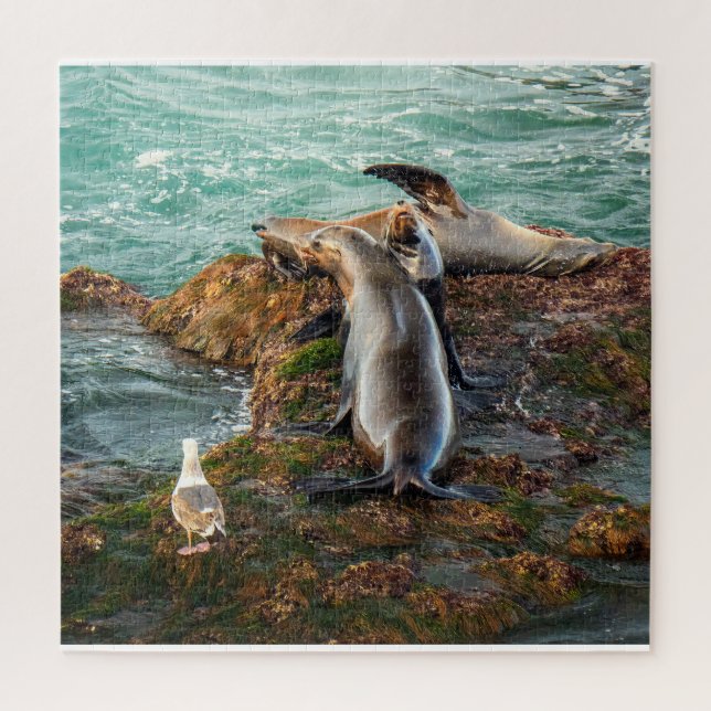 Rompecabezas de Leones Marinos | Arte Oceánico de  (Vertical)