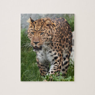 Rompecabezas de leopardo
