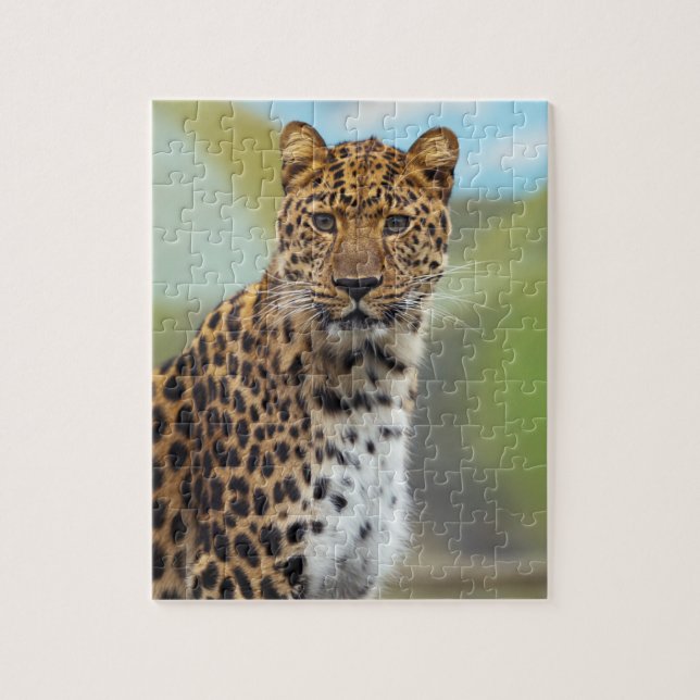 Rompecabezas de Leopardo (Vertical)