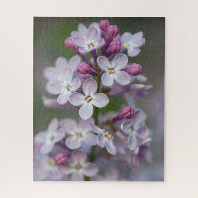 Rompecabezas de Lilacs Jigsaw (Vertical)