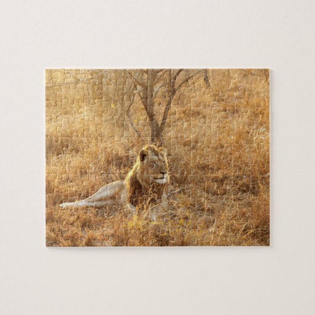 Rompecabezas de Lion Jigsaw (Horizontal)