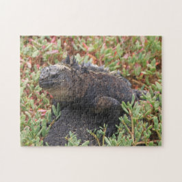 Rompecabezas de Lizard