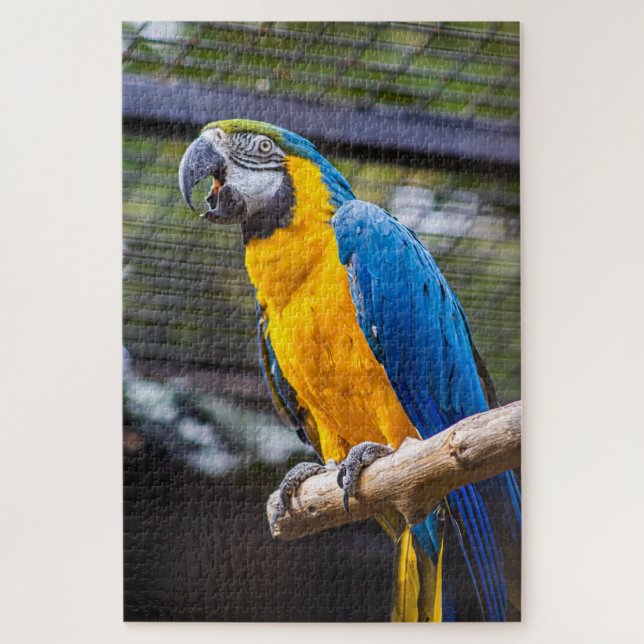 Rompecabezas de loro (Vertical)