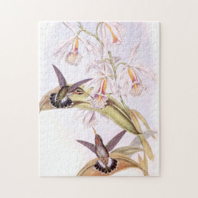 Rompecabezas de los colibríes (Vertical)
