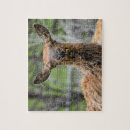 Rompecabezas de los Elks Americanos