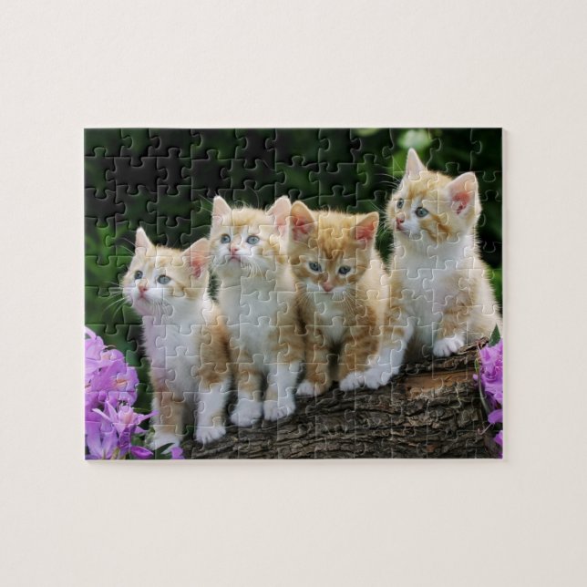 Rompecabezas de los gatitos (Horizontal)