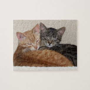 Rompecabezas de los gatos de Tabby