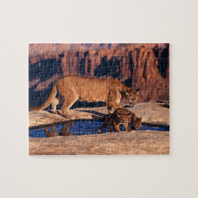 Rompecabezas de los leones de la montaña (Horizontal)