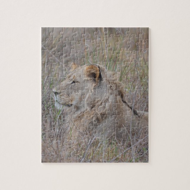 Rompecabezas de los leones en Sudáfrica (Vertical)