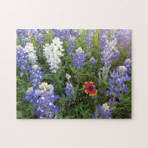 Rompecabezas de los Wildflowers 10x14 de Tejas
