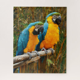 Rompecabezas de Macaw