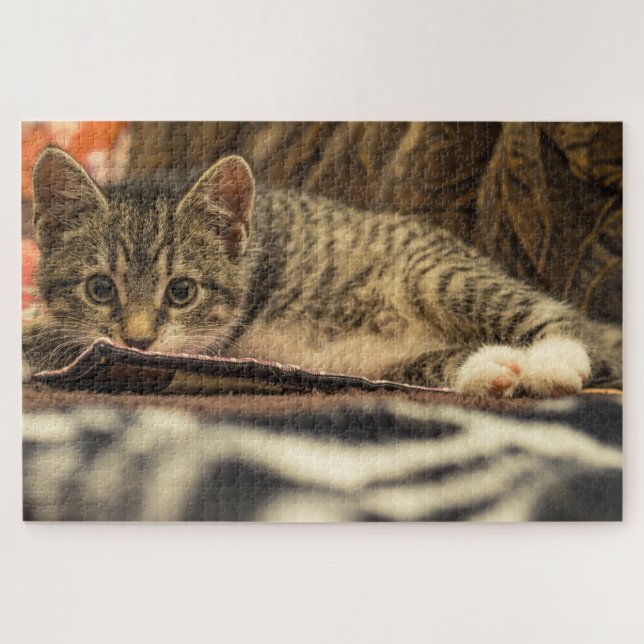 rompecabezas de mackerel kitten (Horizontal)