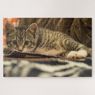 rompecabezas de mackerel kitten
