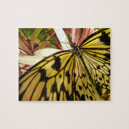 Rompecabezas de mariposa