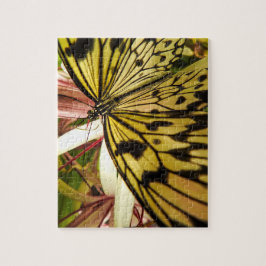 Rompecabezas de mariposa