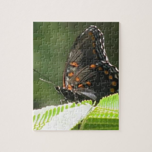 rompecabezas de mariposa (Vertical)