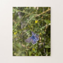 Rompecabezas de mariposa 3