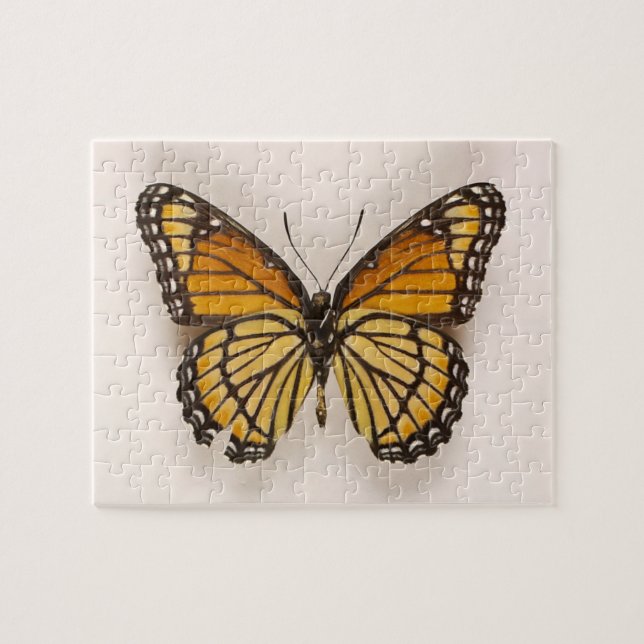 Rompecabezas de mariposa alada naranja Brown (Horizontal)