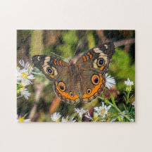Rompecabezas de mariposa de Buckeye