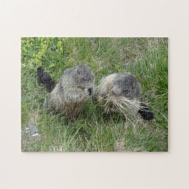 Rompecabezas de marmota (Horizontal)