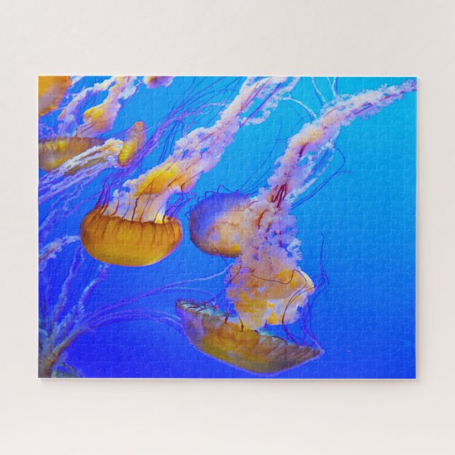 Rompecabezas de Medusas (Horizontal)