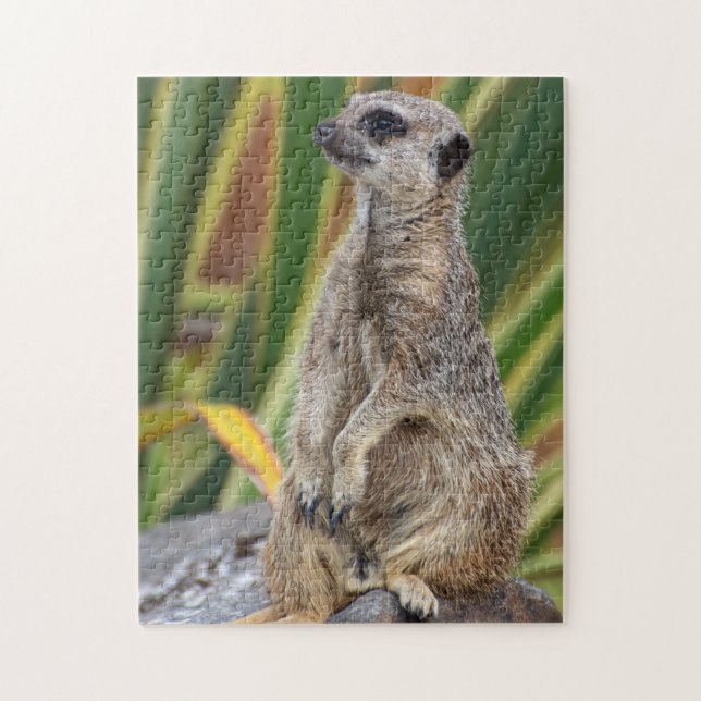 Rompecabezas de Meerkat Jigsaw (Vertical)