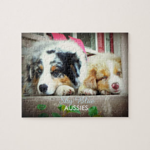Rompecabezas de Merle Aussie