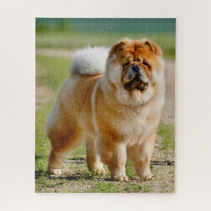 Rompecabezas de Mojo Chow Jigsaw