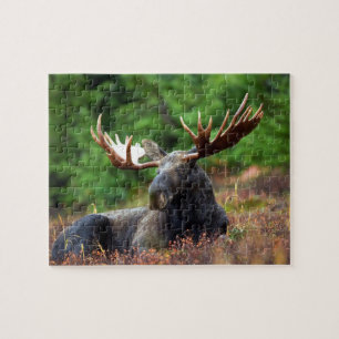 Rompecabezas de Moose Jigsaw