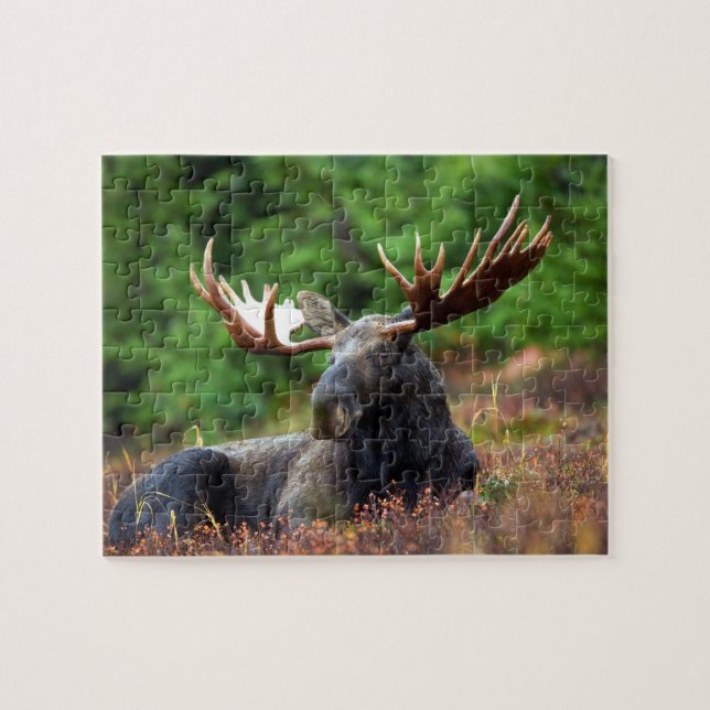 Rompecabezas de Moose Jigsaw (Horizontal)