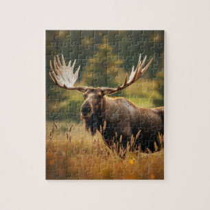 Rompecabezas de Moose Jigsaw