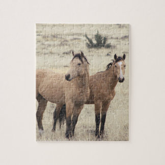 Rompecabezas de Mustangs de Steens