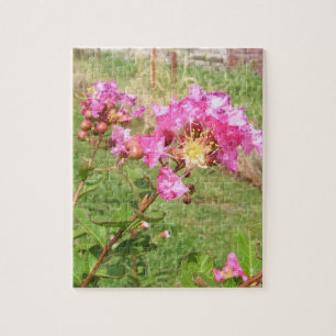 Rompecabezas de Myrtle Crepe Rosa