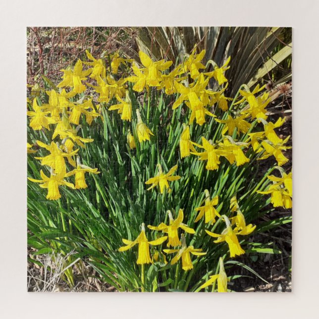 Rompecabezas de narcisos amarillos de primavera (Vertical)