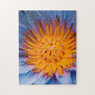 Rompecabezas de Nenúfar 11" X 14" 252 piezas