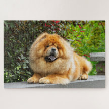 Rompecabezas de Neo Chow Jigsaw