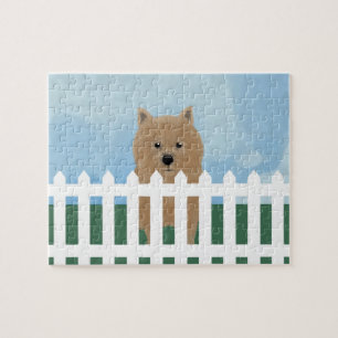 Rompecabezas de Norwich Terrier