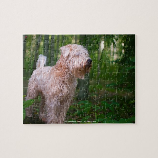 Rompecabezas de nuestro terrier Wheaten, nuestra m (Horizontal)