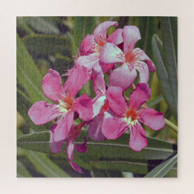 Rompecabezas de Oleander Flower Jigsaw (Vertical)