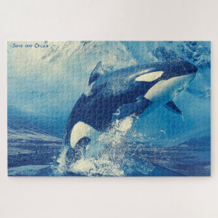 Rompecabezas de orcas o ballenas asesinas