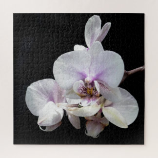 Rompecabezas de Orchids Jigsaw