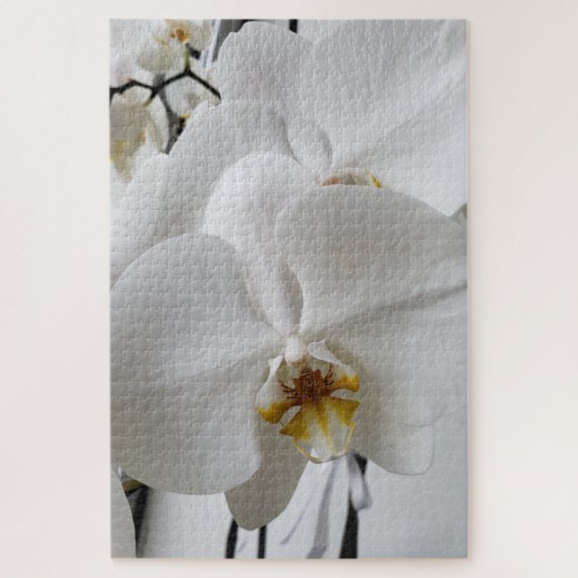 Rompecabezas de Orquídea Blanca (Vertical)