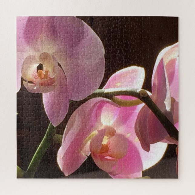 Rompecabezas de Orquídea Rosa (Vertical)