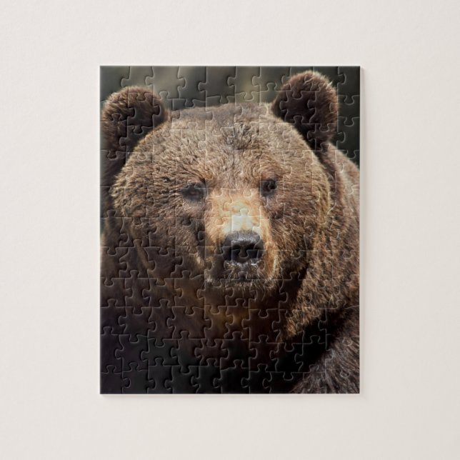 ROMPECABEZAS DE OSO GRIZZLY 8X10 (Vertical)