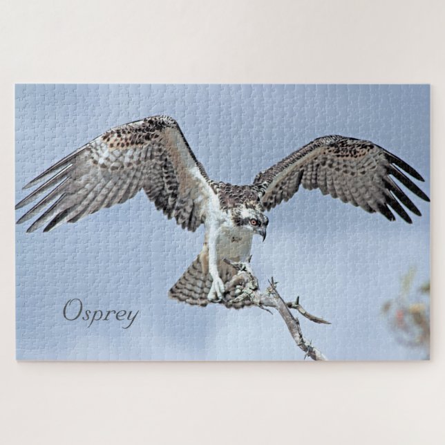 Rompecabezas de Osprey Jigsaw (Horizontal)