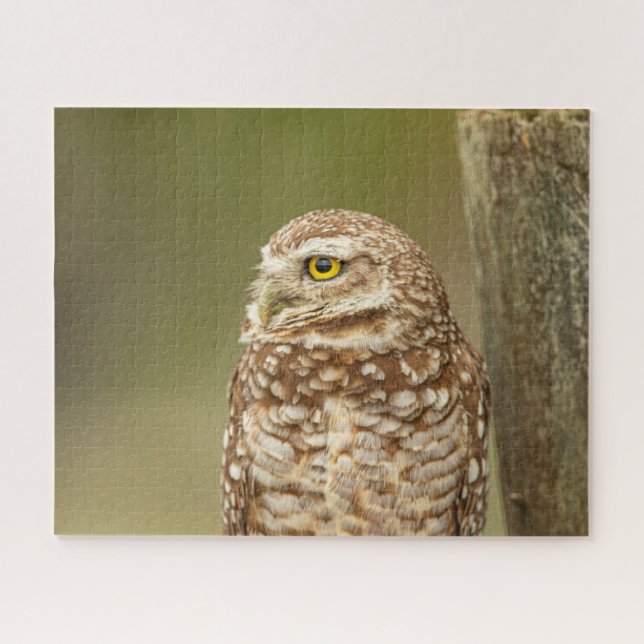 Rompecabezas de Owl Jigsaw (Horizontal)