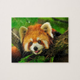 Rompecabezas de Panda Rojo