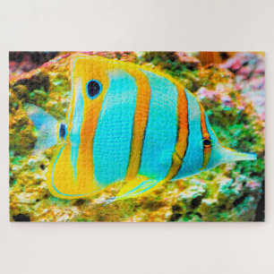 Rompecabezas de peces tropicales