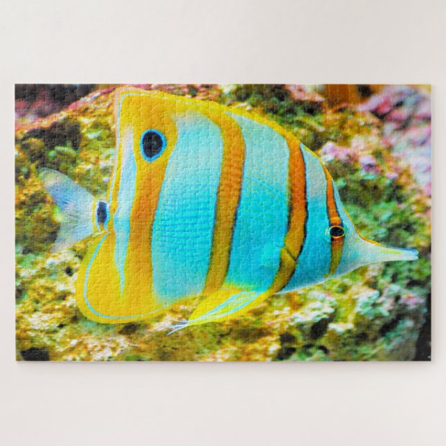 Rompecabezas de peces tropicales (Horizontal)